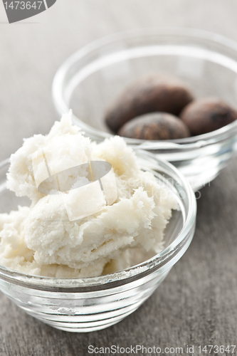 Image of Shea butter and nuts in bowls