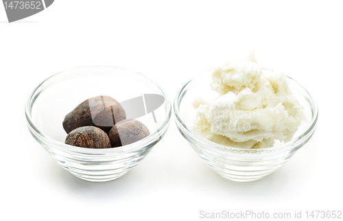 Image of Shea butter and nuts in bowls