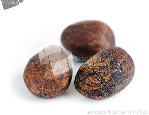 Image of Shea nuts