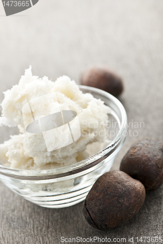 Image of Shea butter and nuts in bowl