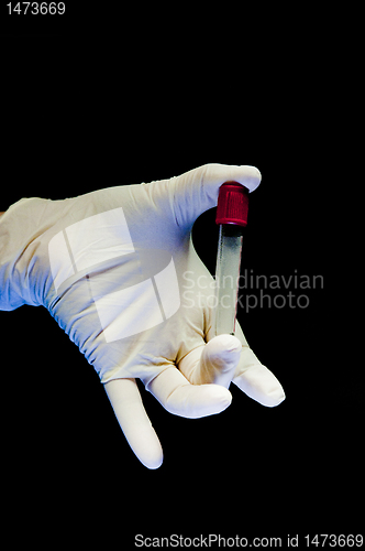 Image of Covered in white glove holding test tube