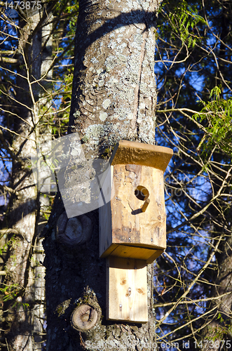 Image of Newly nailed wooden bird nesting-box on tree.