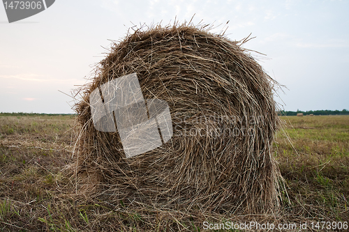 Image of hay