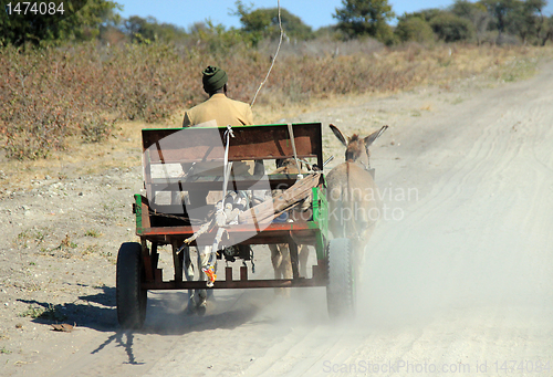 Image of Donkey Cart