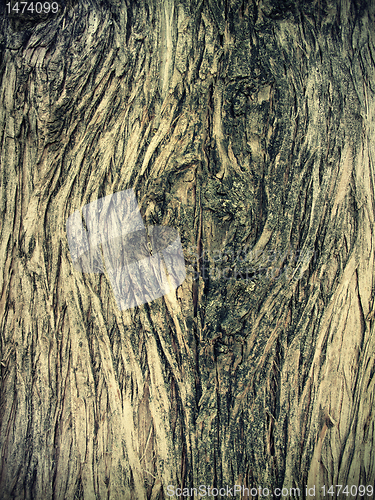 Image of old wooden texture