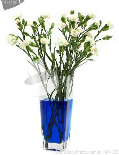 Image of Making blue carnations