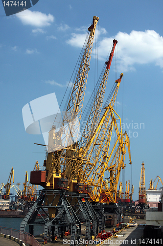 Image of cargo seaport cranes