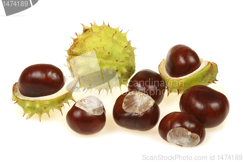 Image of Chestnuts