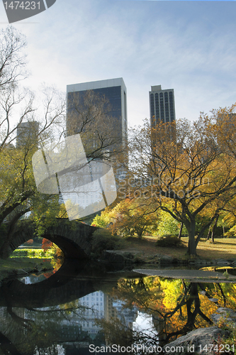 Image of Central Park in NYC