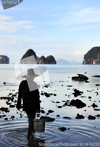 Image of Two women collecting shellfish