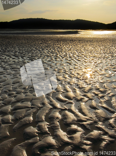 Image of Beach at Low Tide