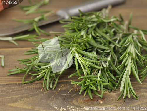 Image of Rosemary