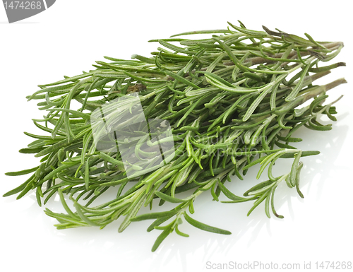 Image of Rosemary Herb