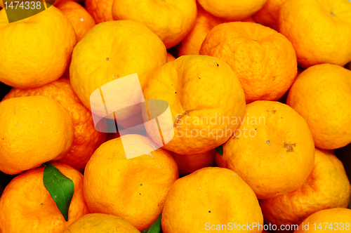 Image of Oranges