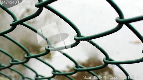 Image of Wire entanglements