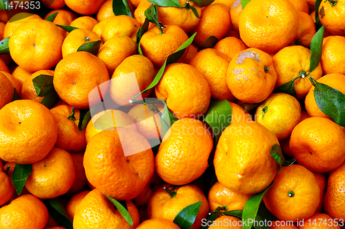 Image of Oranges