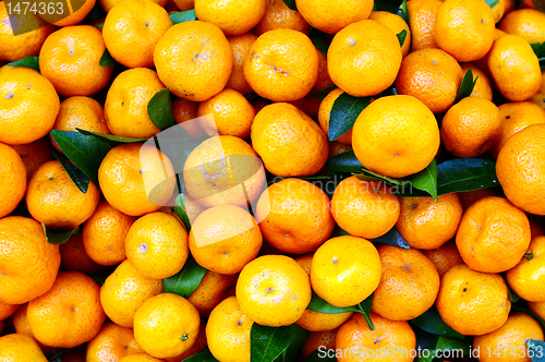 Image of Oranges