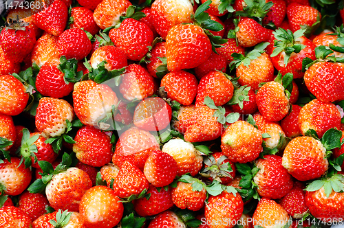 Image of Strawberry