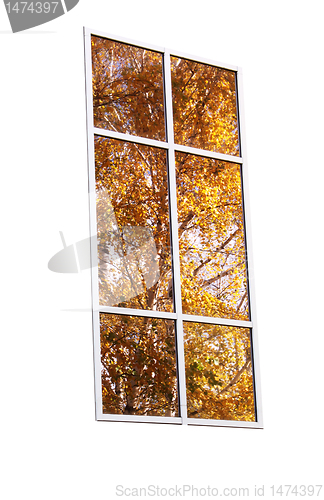 Image of autumnal window