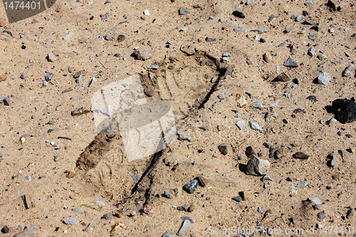 Image of footstep