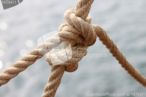 Image of nautical knot