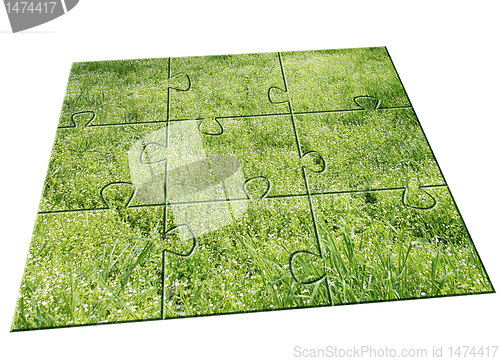 Image of jigsaw puzzle Grass