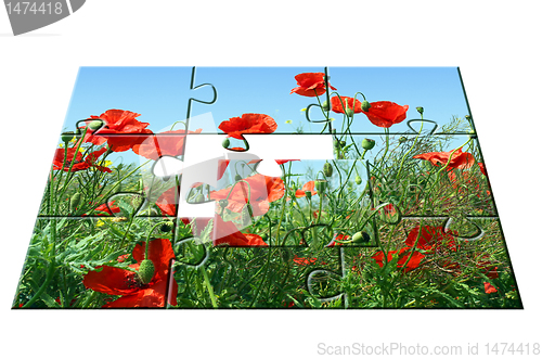 Image of jigsaw puzzle Poppies