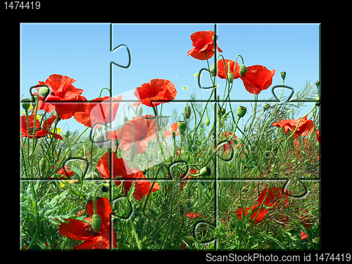 Image of jigsaw puzzle Poppies