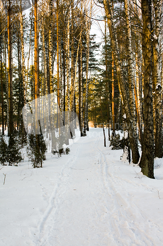 Image of Winter road