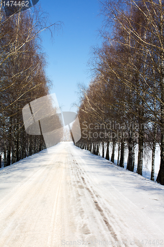 Image of Road (winter)