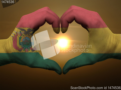 Image of Heart and love gesture by hands colored in bolivia flag during b