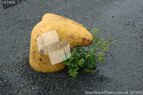 Image of mooring berth