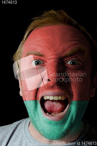 Image of Face of crazy angry man painted in colors of belarus flag