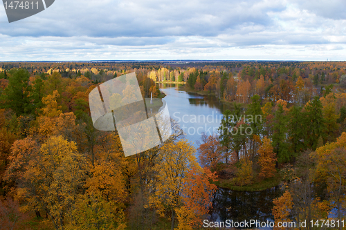 Image of trees and lake. Gatchina park. St. Petersburg