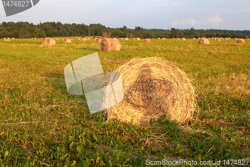 Image of Hay Bales with girl shadow