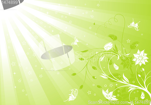 Image of Floral background