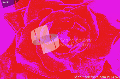 Image of Abstract Rose