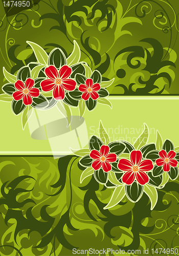 Image of Floral frame