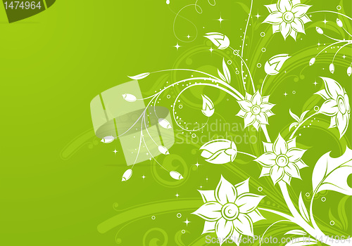 Image of Floral background