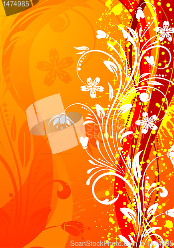 Image of Floral background