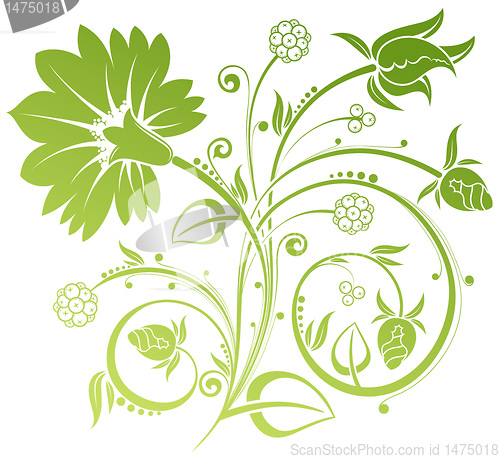 Image of Floral background