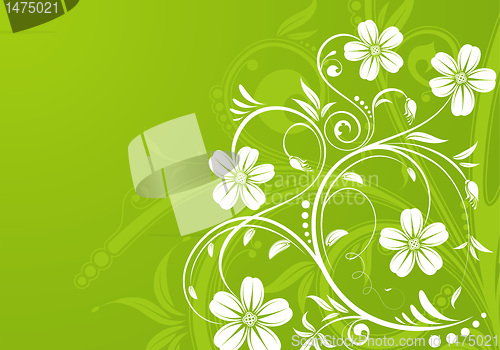 Image of Floral background