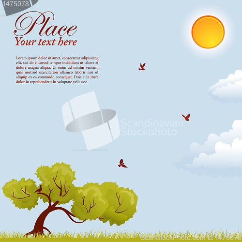 Image of Nature Background