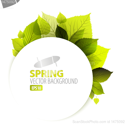 Image of Spring abstract floral background