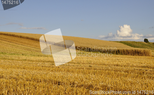 Image of Swedish rural farmland