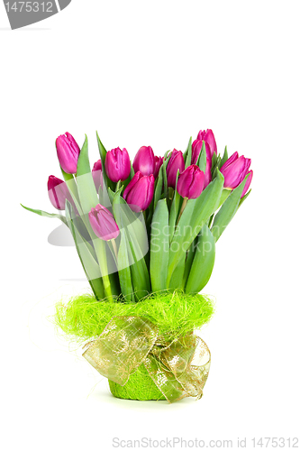 Image of Bouquet of beautiful tulips isolated on white background.