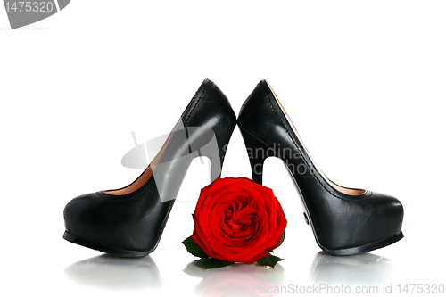 Image of Black high-heeled shoes and a red rose.