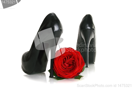 Image of Black high-heeled shoes and a red rose.