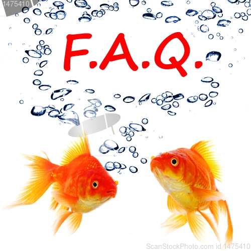 Image of faq