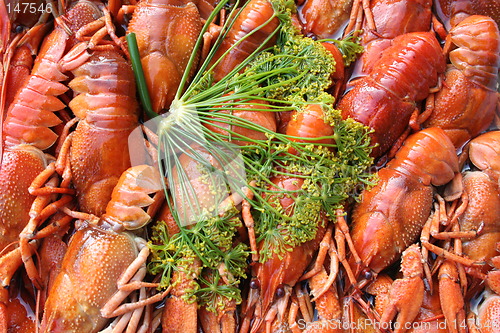 Image of A lot of crayfish